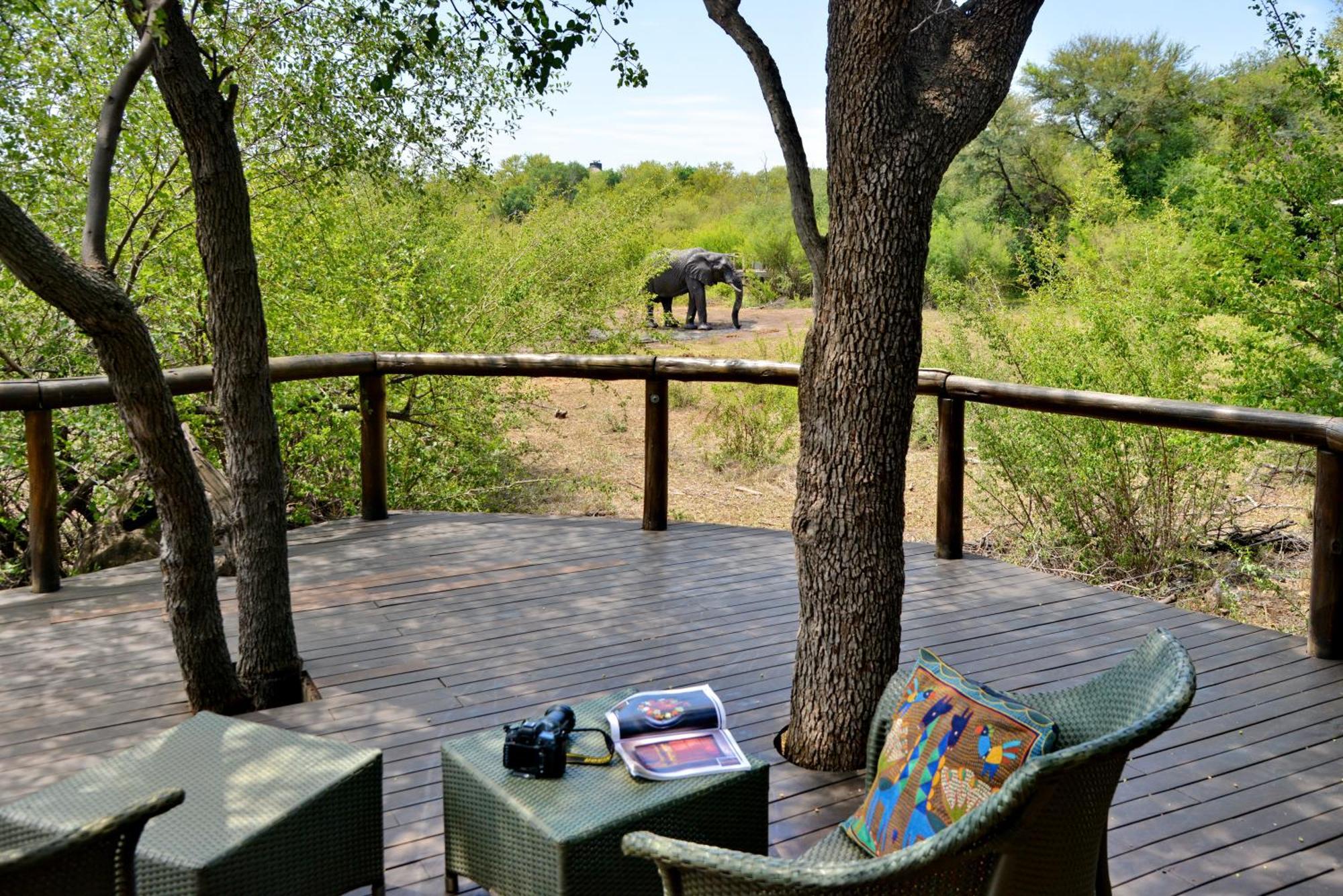 Motswiri Private Safari Lodge Madikwe Game Reserve Exteriér fotografie